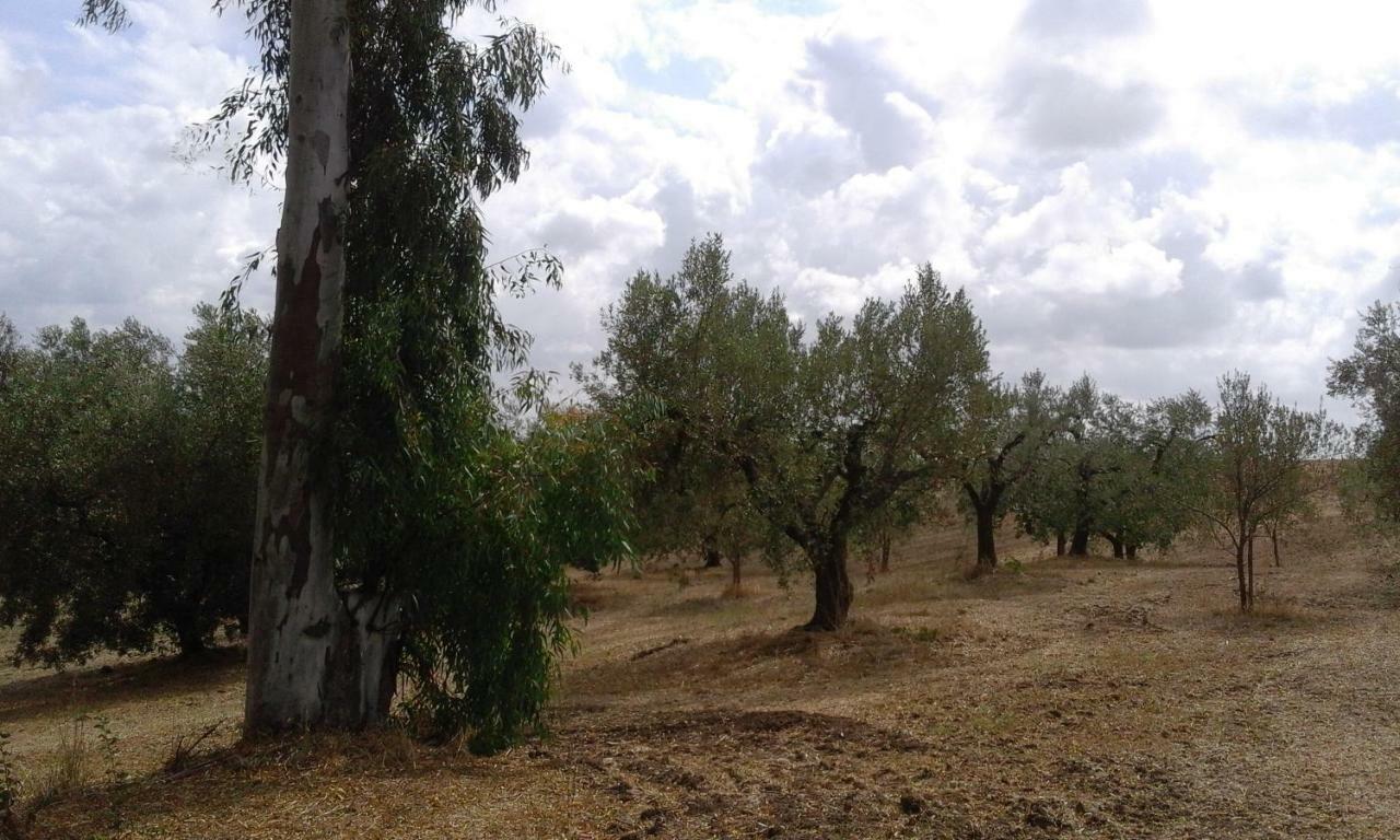 Poderi Di Tragliatella Εξωτερικό φωτογραφία