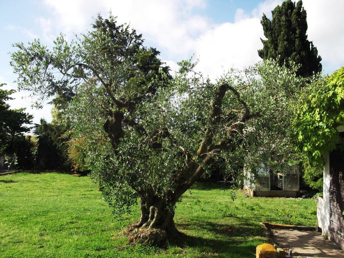 Poderi Di Tragliatella Εξωτερικό φωτογραφία