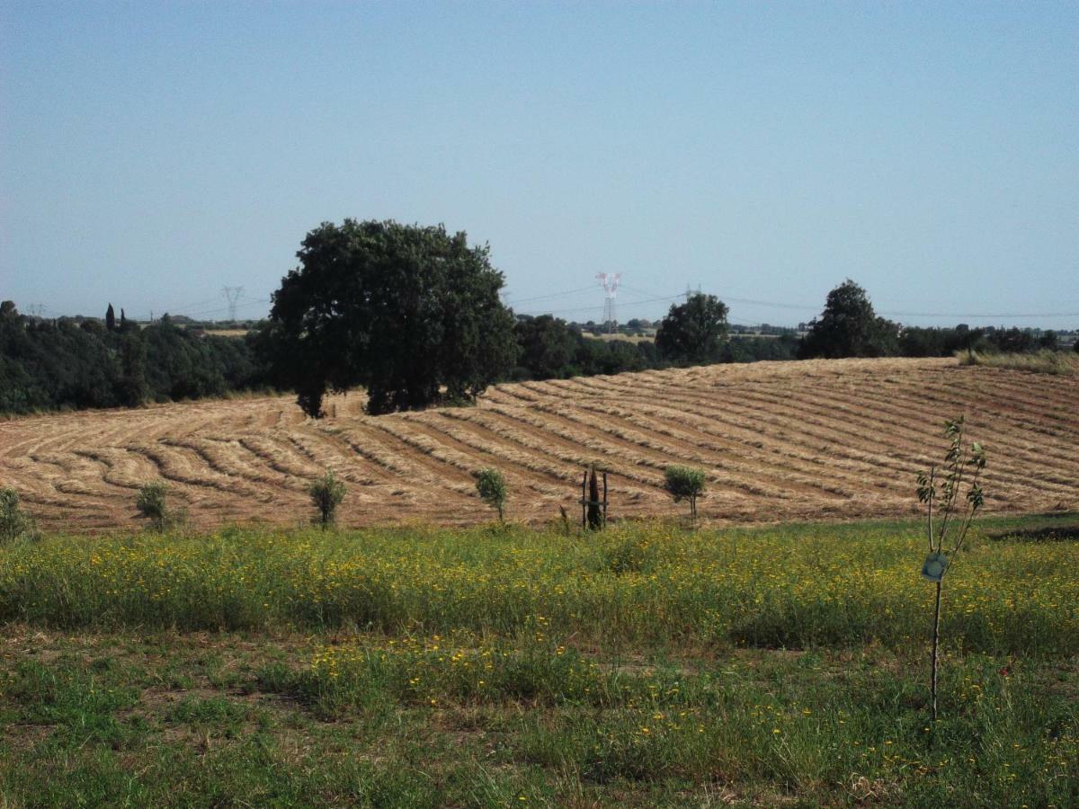 Poderi Di Tragliatella Εξωτερικό φωτογραφία